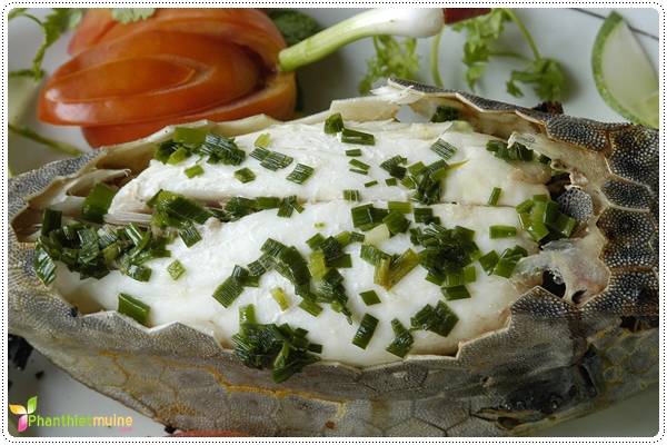 Đặc sản khu vực Kê Gà - La Gi / Có bán dọc đường Võ Thị Sáu - TP Phan Thiết Đặc sản khu vực Kê Gà - La Gi / Có bán dọc đường Võ Thị Sáu - TP Phan Thiết
