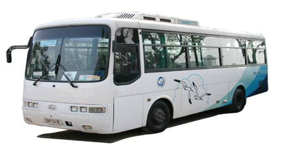 Đội xe từ 35-45 chỗ Đội xe từ 35-45 chỗ