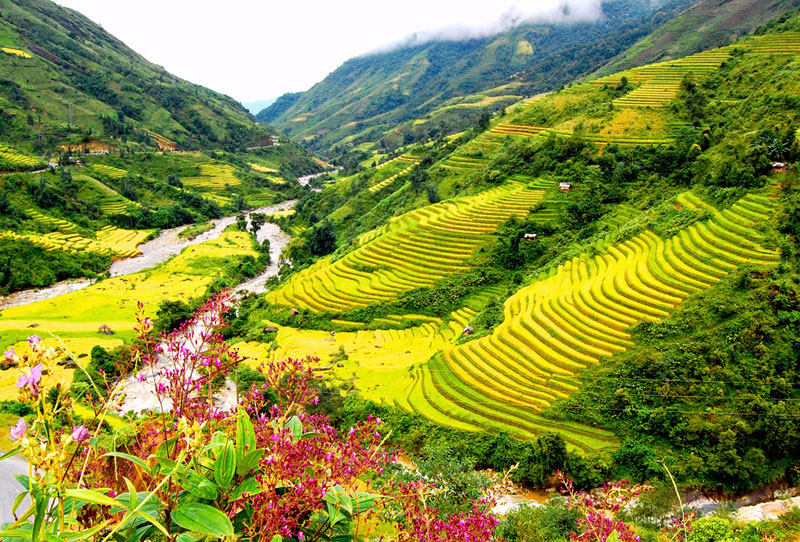 HÀ NỘI - SAPA 3N