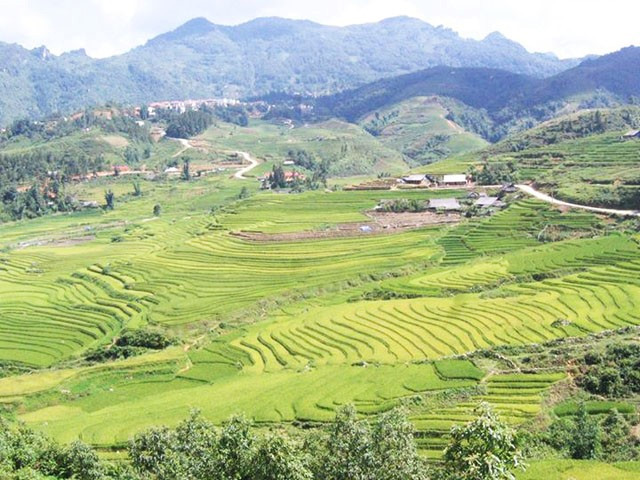 Bản Tả Phìn. Ảnh: Mai Tiến Đoàn.